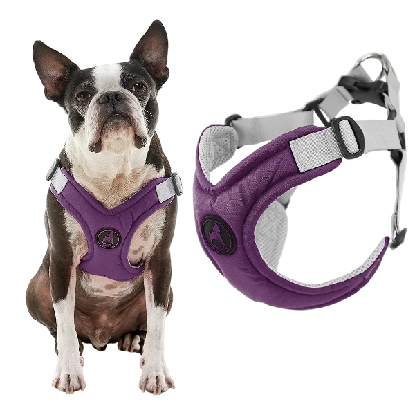 Gooby Memory Foam Theft Treat - Purple, Extra Small - Scratch-Resistant Theft Treat with Comfortable Memory Foam for Small and Medium Dogs for Indoor and Outdoor Use